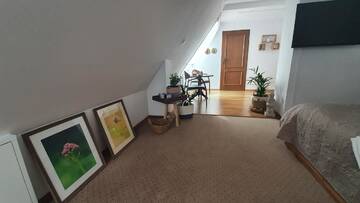 Фото номера Лофт Отель Hotel Siesta г. Свебодзин 7